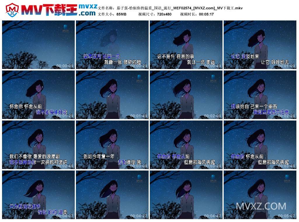 茄子蛋-恰似你的温柔_国语_流行_MEF02574